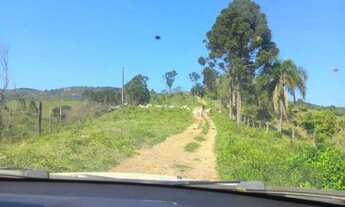 Imagem: Vendo fazenda
