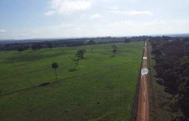 Imagem 7: Fazenda dupla aptidão campina verde