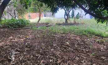 Imagem 5: Terreno Padrão em Bauru