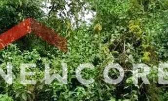 Imagem 3: Lote em - Antes de Iranduba - Iranduba/AM