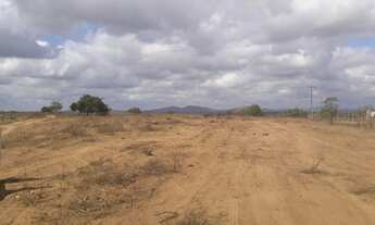 Imagem 2: Loteamento no Asa Branca ( Feira de Santana