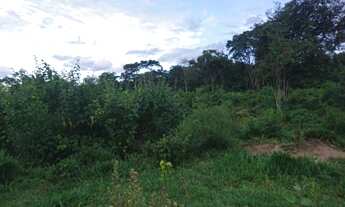 Imagem 6: 33 Alq. de Cultura em Jandaia-GO. Preço Bom!