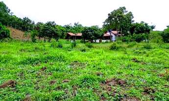 Imagem 7: Urgente.fazenda de 50 hectares por 159 mil