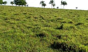 Imagem: Atenção!!! 2 Fazendas Que Analisam 60