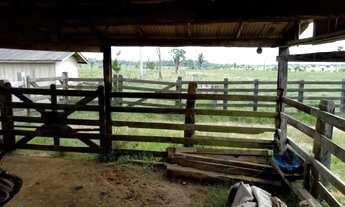 Imagem 3: Sitio 62 Alqueires Jaru