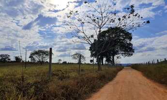 Imagem 5: Vendo Terreno 40.000m² com Área Verde e Vista Maravilhosa
