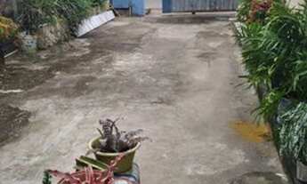 Imagem 3: Aluga-se casa com ótima localização no São Bento