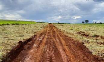 Imagem 2: Chácaras de mil Mt 40 km de Goiânia ótimo oportunidade !