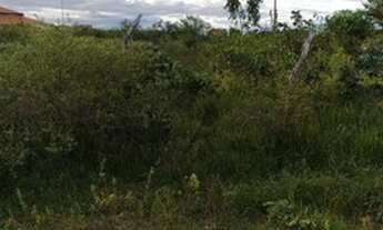 Imagem 3: Vendo terreno 10x30 em Barreirinhas