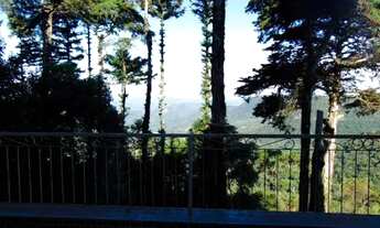 Imagem 1: GRAMADO - Padrão - Centro