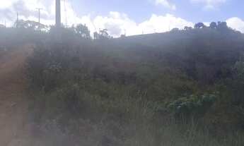 Imagem 4: Vende-se fazenda