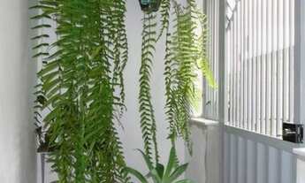 Imagem 2: Juiz de Fora - Casa Padrão