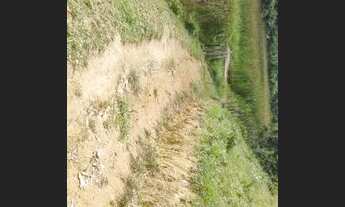 Imagem 5: Sítio de 1 hectares de terra ótimo pra fazer plantio