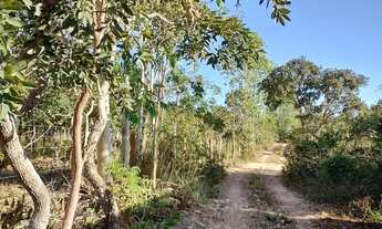 Imagem 5: Lote lago serra da mesa niquelandia