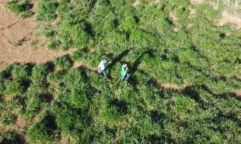 Imagem 3: Chácara 2 Hectares Chacara De 20.000M2, São 20.000M2!. O0AUNS