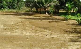 Imagem 4: Terreno frutífero em condomínio