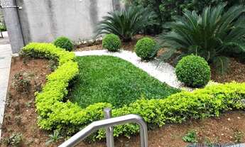 Imagem 3: COMERCIAL - PARAÍSO - SP