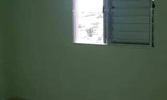 Imagem 2: Aluguel ouro verde