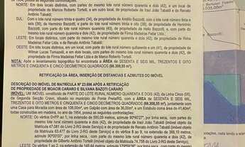 Imagem 2: Plantação de Pinus