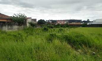 Imagem 2: Terreno Padrão em São Carlos