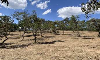 Imagem 7: Chácara 9000m², Energia, Terra Boa, Vista Maravilhosa, Arborizada, 4km de Aragoiânia