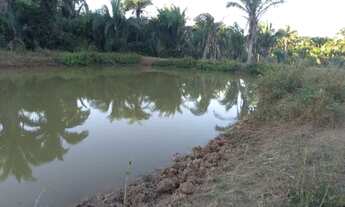 Imagem 7: Fazenda em Rui Barbosa (Baixão Grande) no município de Gonçalves Dias/MA