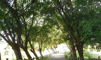 Imagem 2: Reserva dos lagos - Fazenda Boa Luz