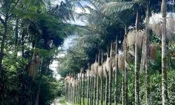 Imagem 4: Lotes a venda Terreno / lote com venda por R$69.990