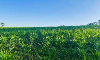 Imagem 2: Invista em Ibiúna: Terrenos com potencial de valorização e qualidade de vida