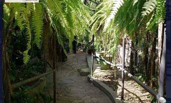 Imagem 6: Salão, 2007 m² - venda por R$ 18.000.000,00 ou aluguel por R$ 81.630,00/mês - Alto de Pinh