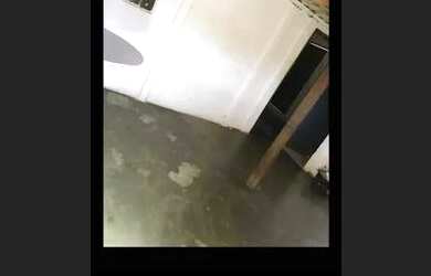 Imagem 3: Aluguel Casa com 1 dormitório