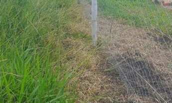 Imagem 4: Chácara Terezópolis 1.000 metros troca por veículos