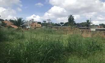 Imagem 5: Terreno no Conj. Edgar Pinheiro