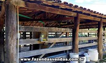 Imagem 3: Fazenda 25,5 alqueires município de Corumbá de Goiás