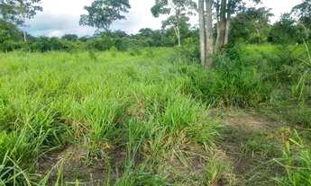 Imagem 5: Fazenda com 345 hectares para pecuaria e piscicultura