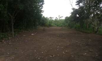 Imagem 4: VENDO TERRENO IRANDUBA