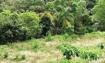 Imagem 4: Terreno para Venda em Nova Petrópolis, Linha Imperial