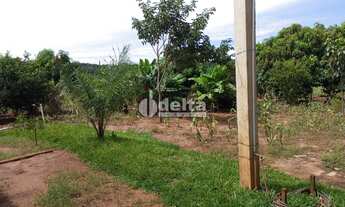 Imagem 4: Chácara Residencial disponível para Venda no bairro Área Rural em Uberlândia-MG
