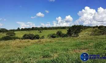 Imagem 4: Fazenda à Venda em Arenópolis GO