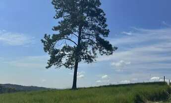 Imagem 6: Lote em promoção em Ibiúna, doc regular