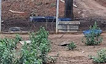 Imagem 3: Fazendinha 25 Alqueires 25 Minutos de Montes claros/Ótima Localização.