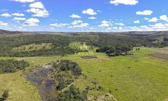 Imagem 5: FAZENDA PRODUTIVA DUPLA APTIDÃO 100 % PLANA - AGRICULTURA/PECUÁRIA - PLANALTINA GOIÁS