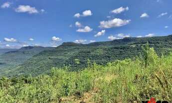 Imagem 2: Sítio / Chácara para Venda em Nova Petrópolis, Linha Pirajá Baixa