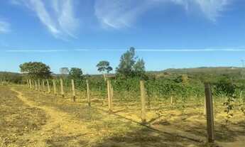 Imagem: Chácara de 1 alqueire mais 2 casas e 350