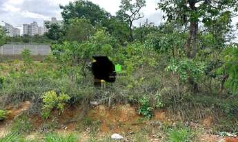 Imagem: Lotes em Condomínio em Mariposas