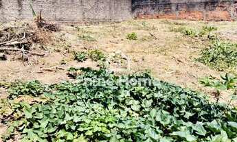 Imagem 2: Terreno - Jardim Cura DArs - Campinas