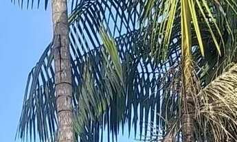 Imagem 5: Vende-se Sítio Terreno / lote com venda por R$200.000