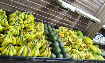 Imagem 2: Passo ponto com sacolão todo montado