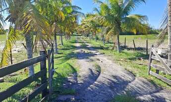 Imagem 2: GRUSSAÍ - Sítio na BR-356 - Curva de Grussaí