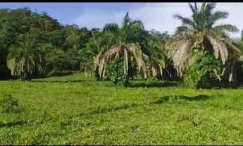 Imagem: Chácara à Venda em Iporá-GO 5 Alqueires